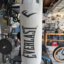 Everlast Punching Bag Heavy