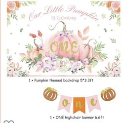 Little pumpkin 1st (ONE) Birthday Party Supplies