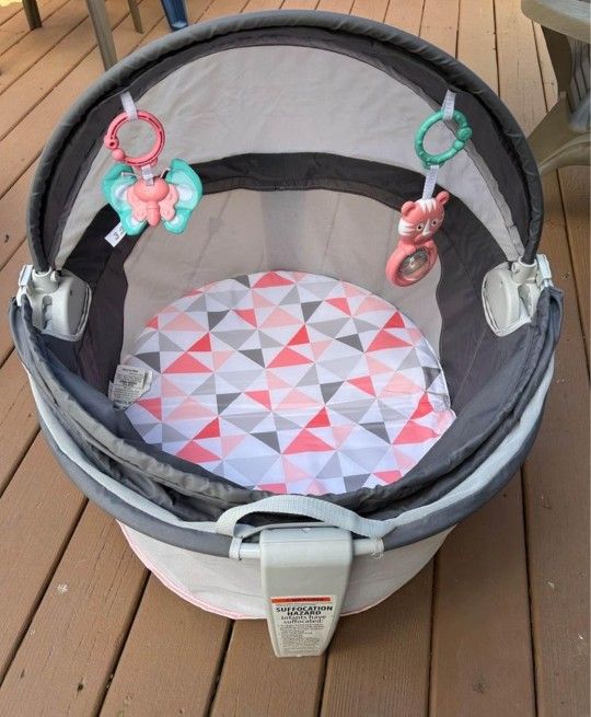 Infant Fisher Price On-The-Go Baby Dome