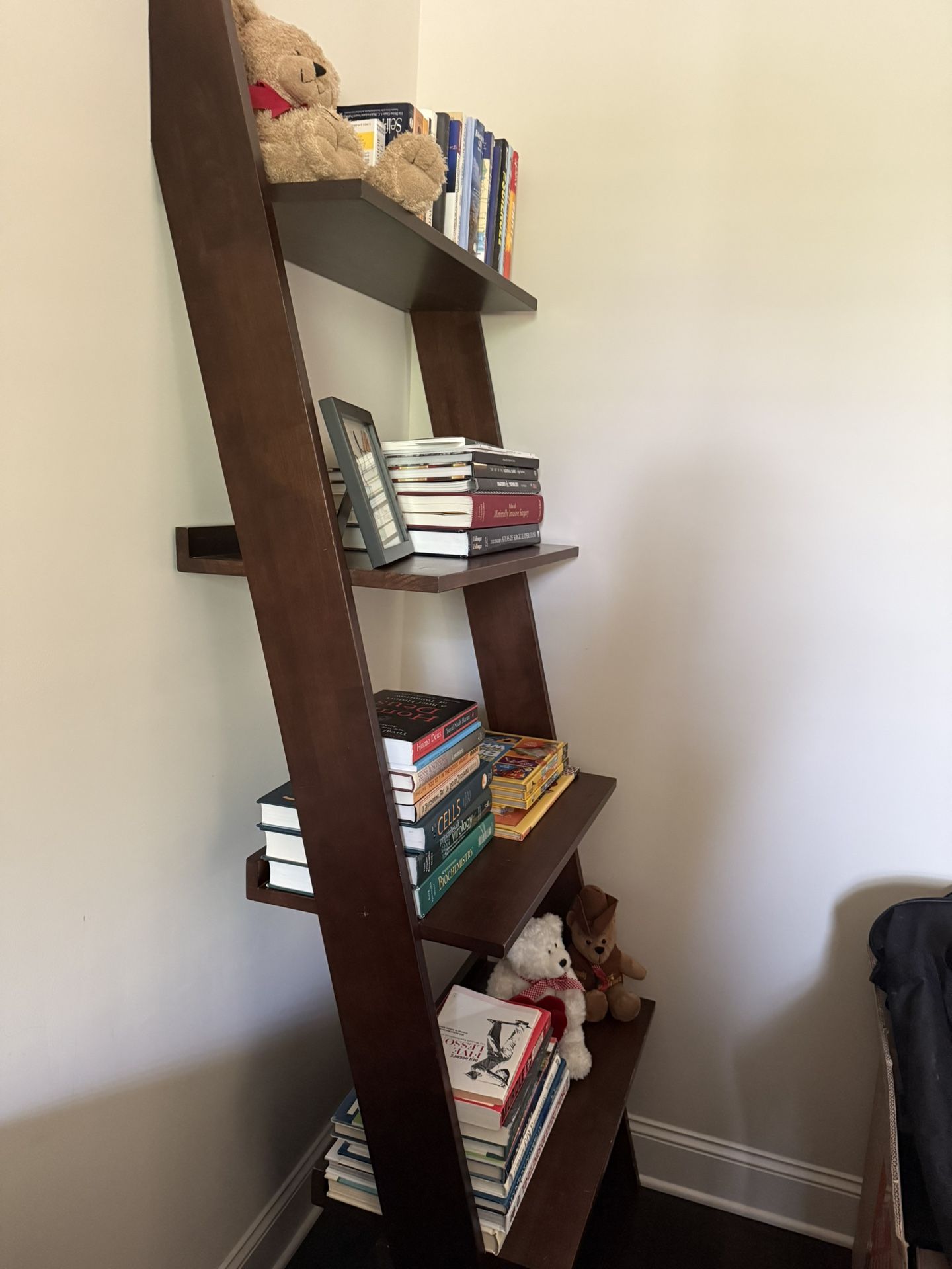 Simple slanting Book Shelf
