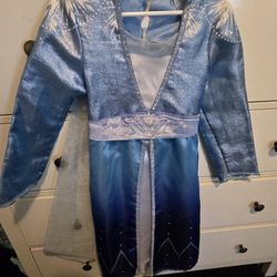 Elsa Fozen Costume 