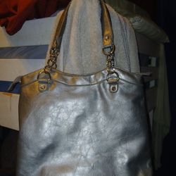 Silver Colored Purse Big