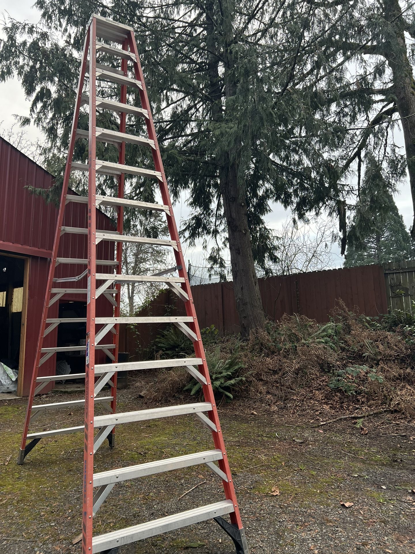 Werner 14 Foot Twin step Ladders