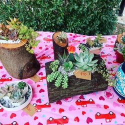 Handcarved succulent Planters For Sale- Going On Now