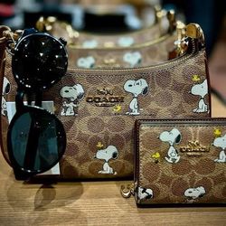 Coach X Snoopy Bag