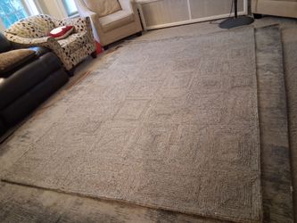 6x9 area rug 100% wool