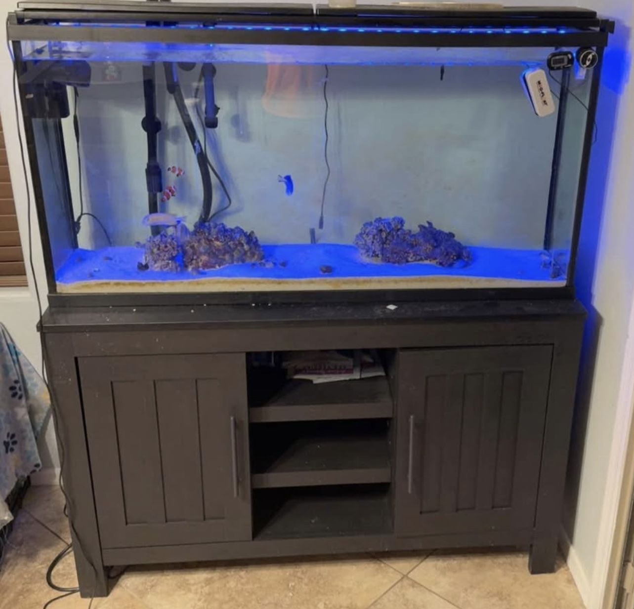 55 Gallon Tank With Stand