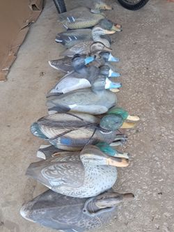 Decoys
