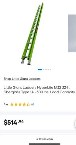 Little giant ladder