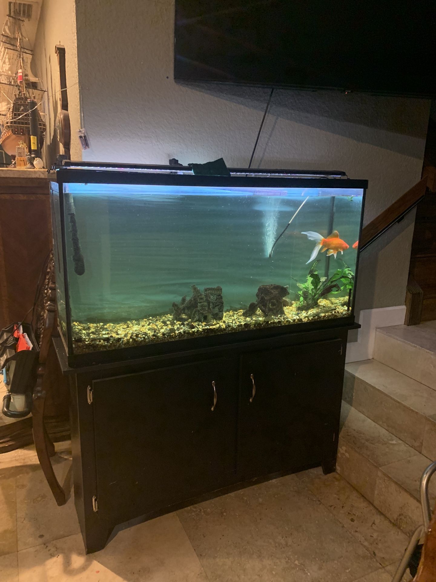 Fish Tank Aquarium 55 Gal