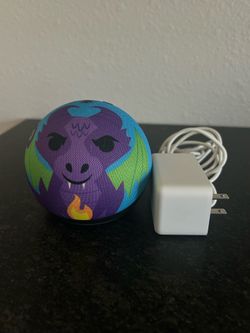 Echo Dot