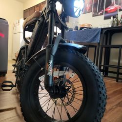 Heavy Duty Electric Bike -- 30mph speed