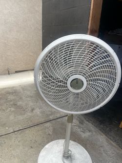 Fan