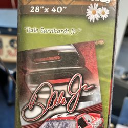 Dale Jr #8 Flag 28x40