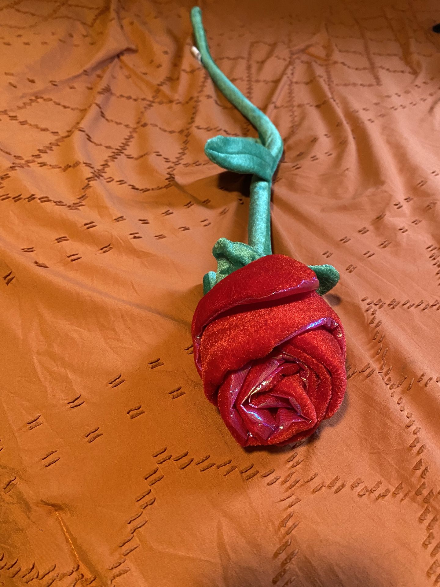 Valentine’s Day Rose