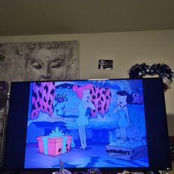 Vizio 60 Inch tv