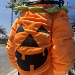 Halloween pet Costume 