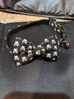 Breakaway cat color with skulls and a bow with little bell