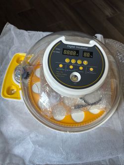 Egg incubator