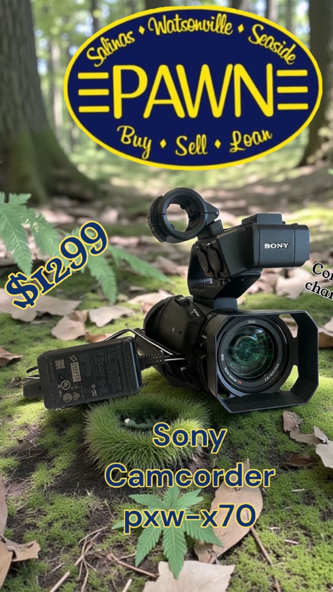 Sony camcorder pxw-x70