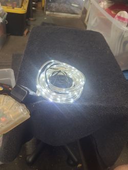10ft white 120v rope lights.
