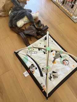 Baby play mat and carrier