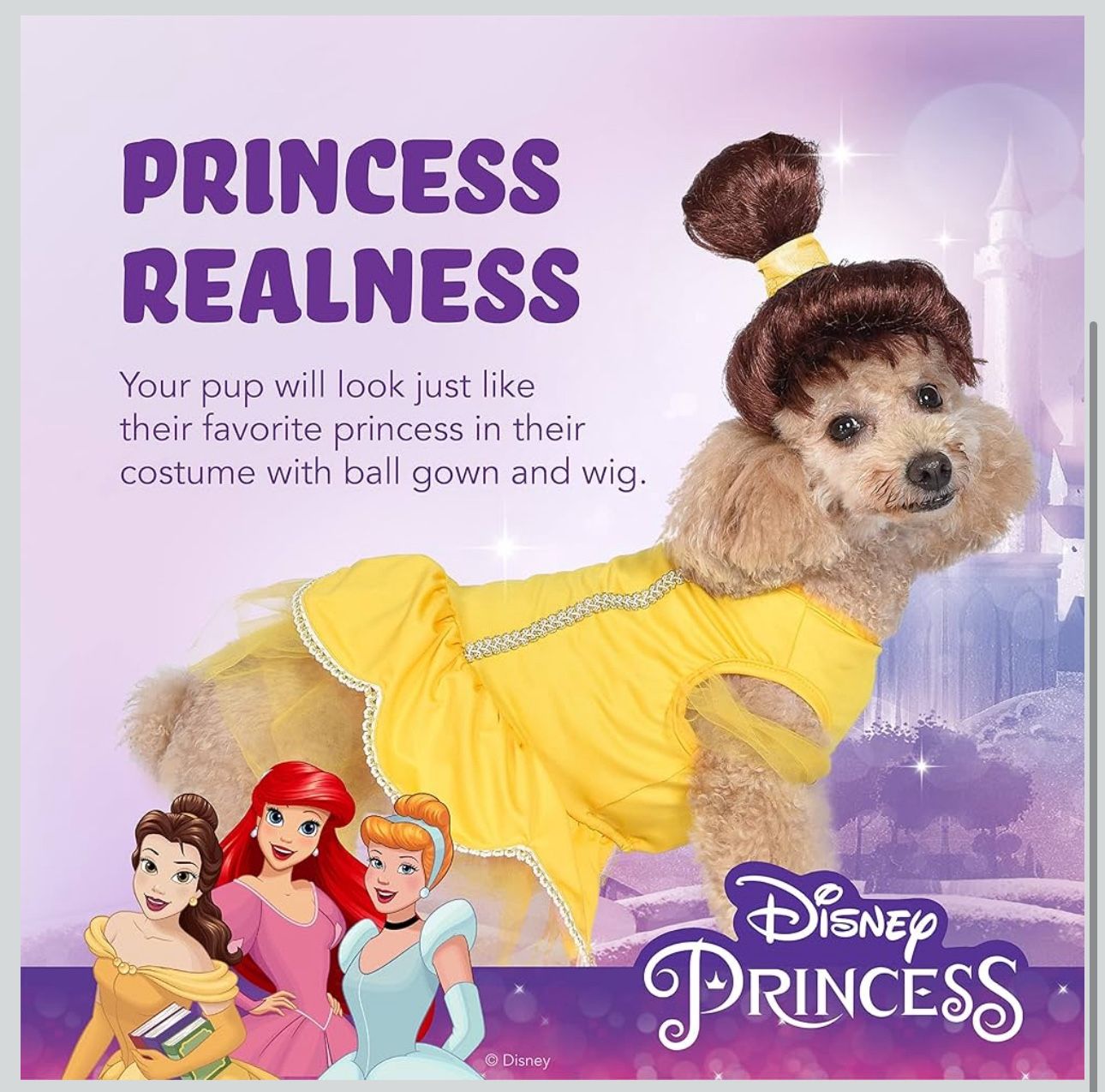 Dog Costume! Pets.