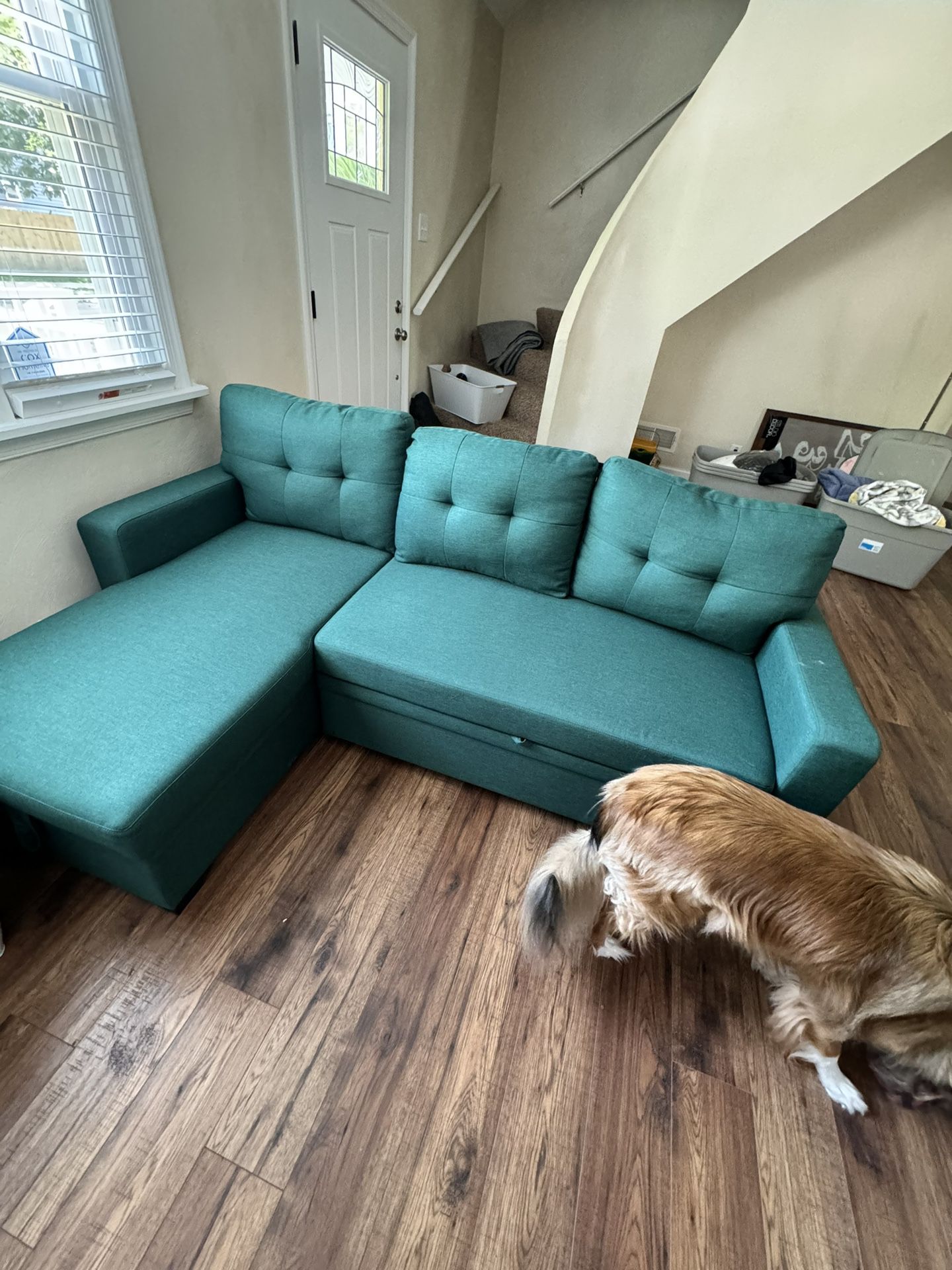 Green Couch from Amazon (Price Firm)