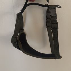 Reddy Dog Harness  (medium Dog)