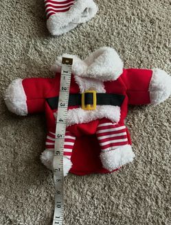 Pet Santa outfit
