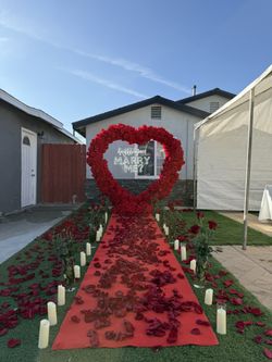 Red Heart Carpeta Roja 
