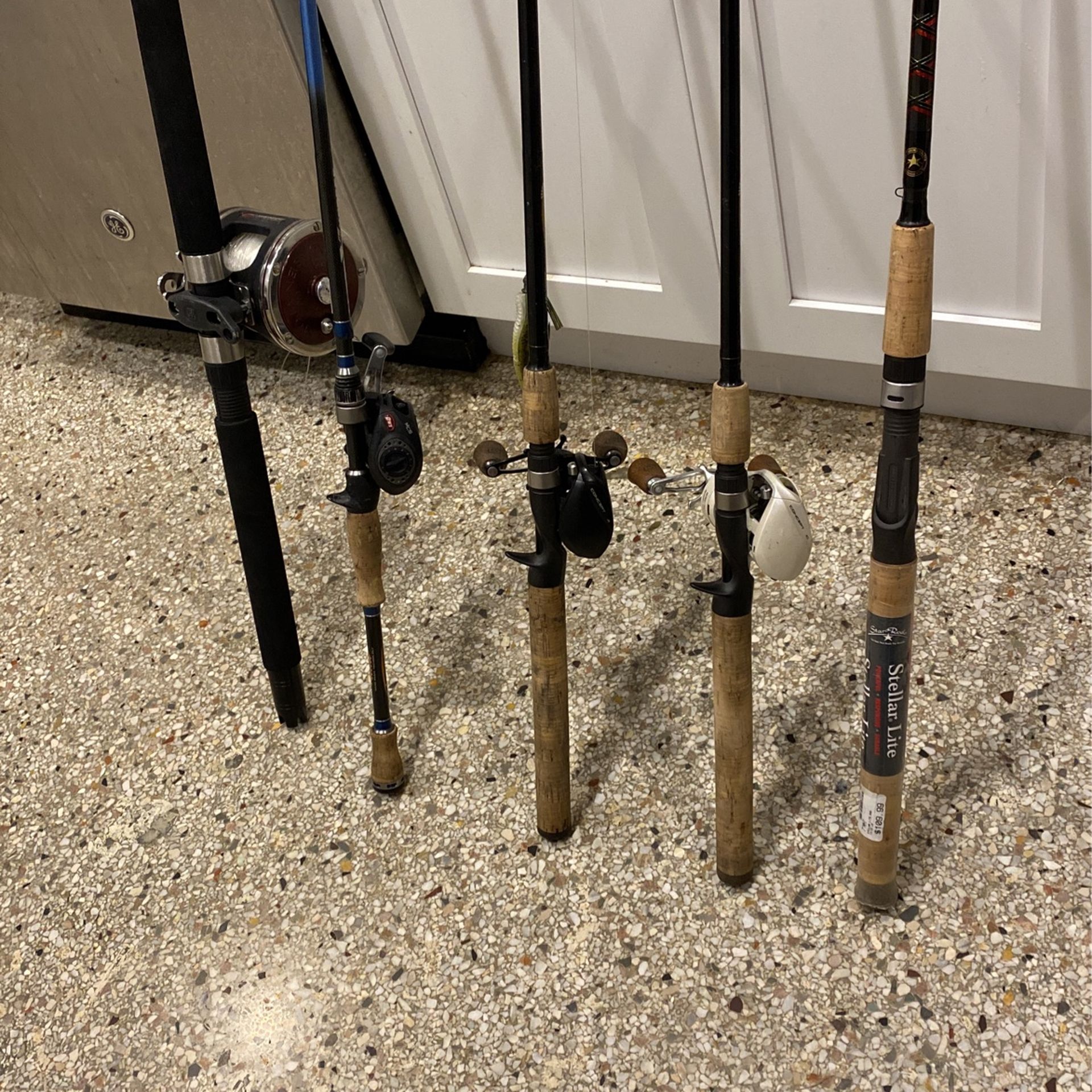 Fishing Rod And Reels