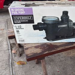 Everbilt Pool Pump 