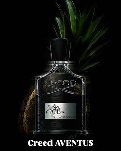 Creed Aventus 