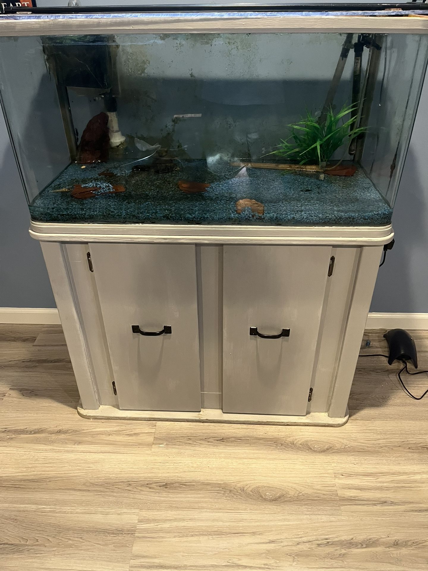 Aquarium- Fish Tank