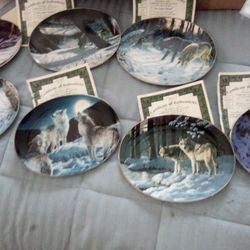 Wolf Decritiv Plates