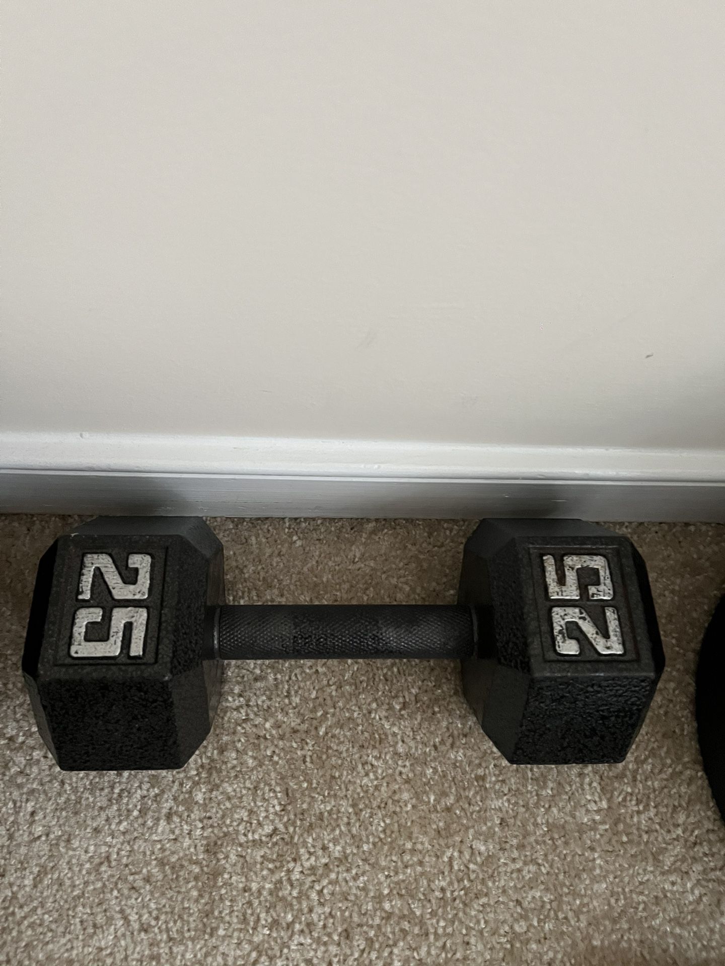 25lbs Chrome Handle Arm Workout, Single