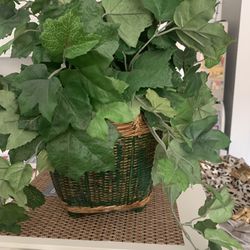 Faux Ivy in a Rattan Basket 