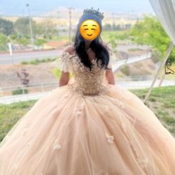 Quinceanera / sweet16 dress 