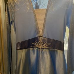 Elsa Costume 