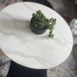 Tempered Glass Pedestal Dining Table And Two Chairs