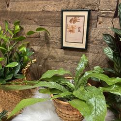Vintage The Magnificent Hummingbird of Brazil Framed Signed Art Print Small Bird Floral Boho Nature 