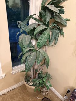 Large artificial plants