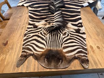 Authentic Real Zebra Hide Rug - Full Pelt with Mane & Tail