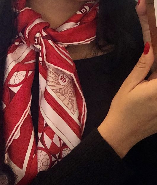 Hermès Le Tour Du Monde Silk Scarf / Artwork