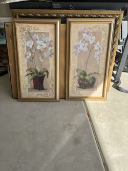 House Frames 