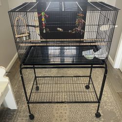 Bird Cage