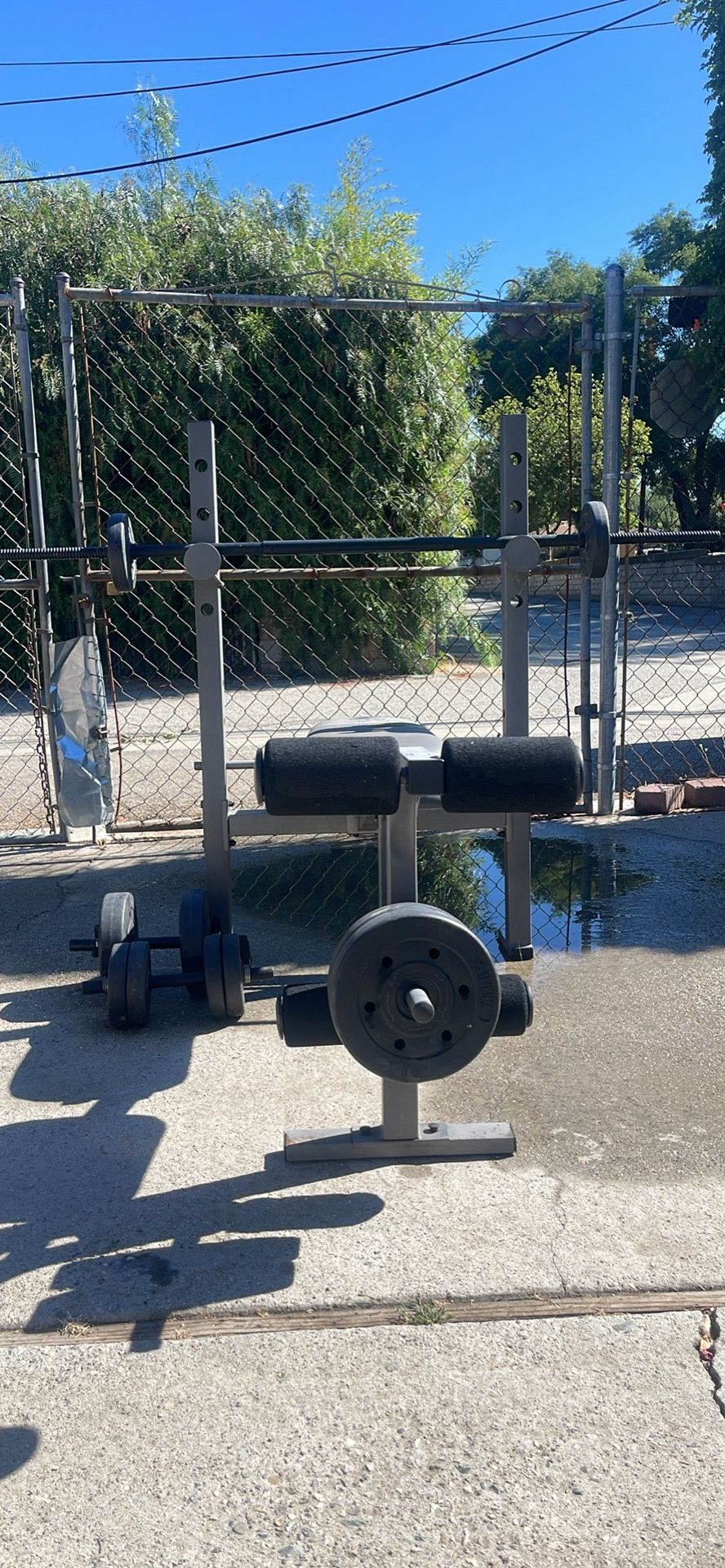 🏋️ Weight Bench with Barbell & Dumbbells