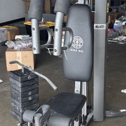 Chest Delta Machine Gold’s Gym 