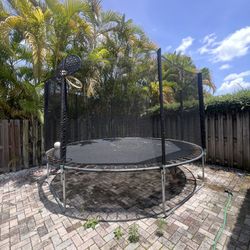 Trampoline 